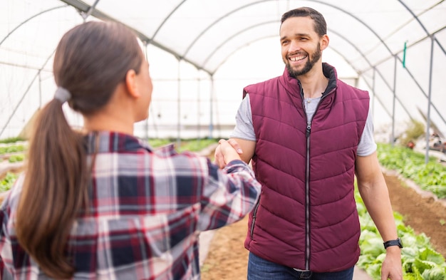 agriculture greenhouse field handshake farmer agreement agribusiness deal partnership teamwork farming industry collaboration sustainability cooperation man woman eco farm 590464 99969